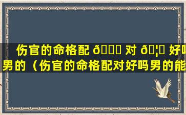 伤官的命格配 🐋 对 🦆 好吗男的（伤官的命格配对好吗男的能结婚吗）